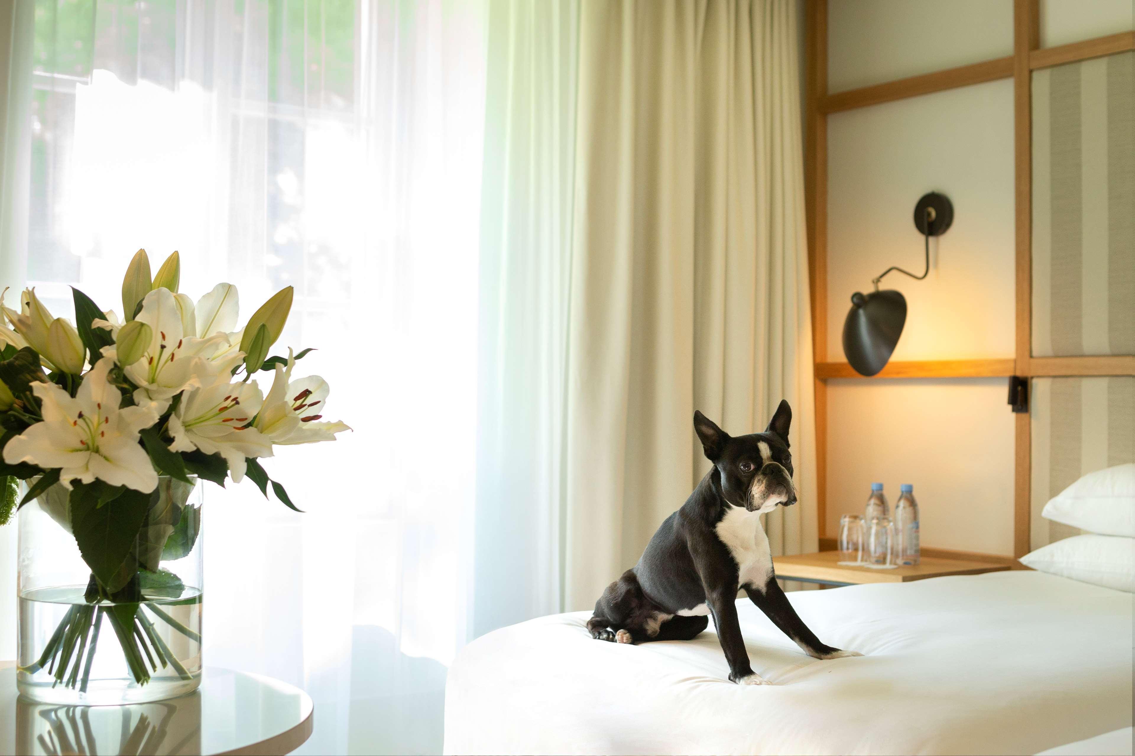 Hyatt Regency Chantilly Vineuil-Saint-Firmin Екстериор снимка